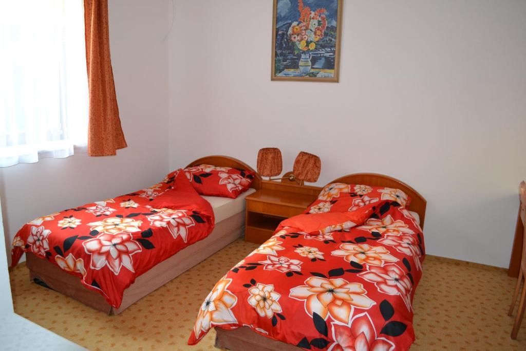 Levandule Brno Kamer foto