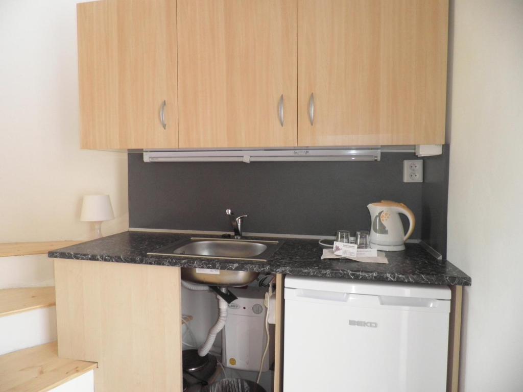 Levandule Brno Kamer foto